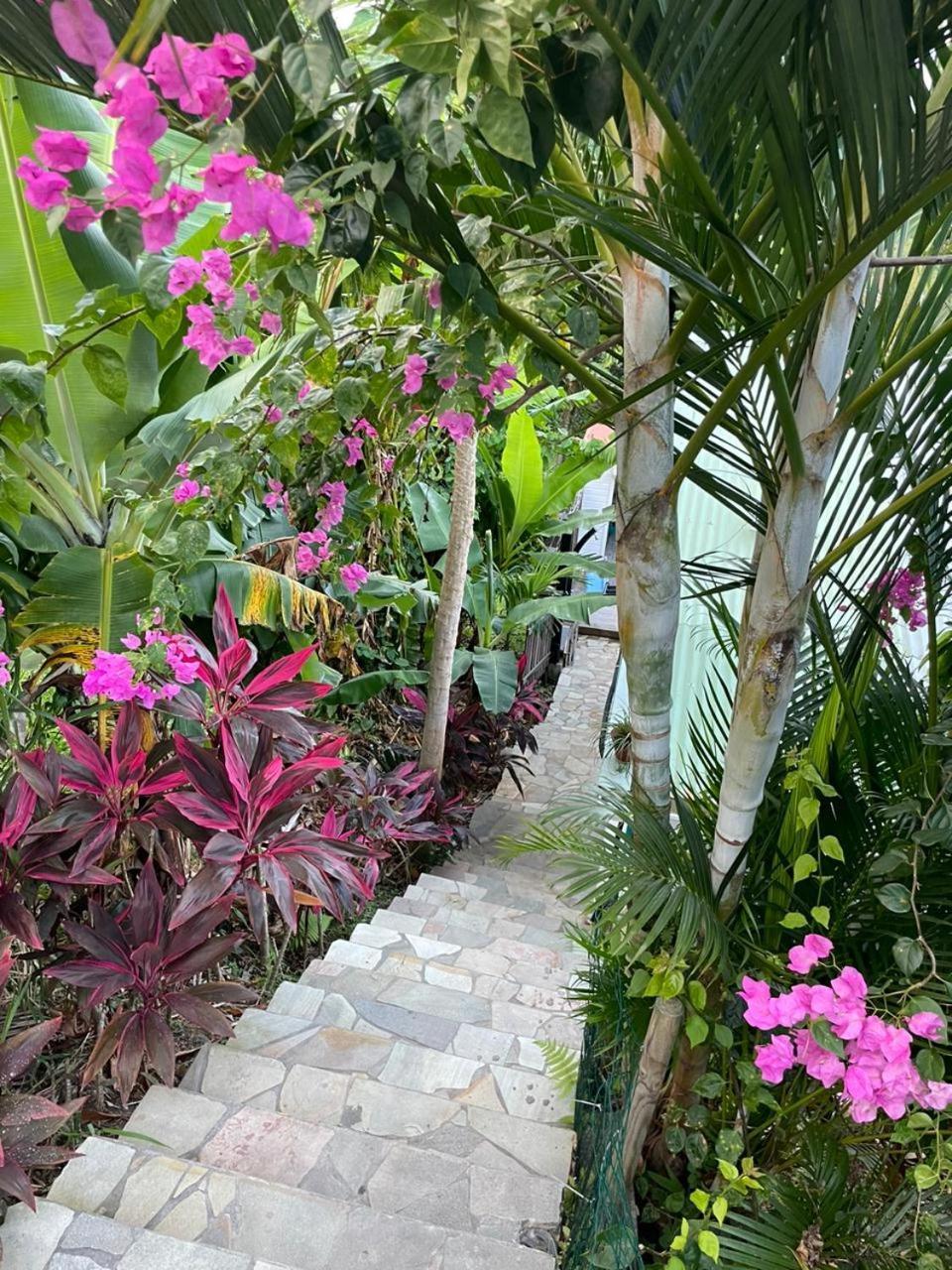 La Casita Ilohe Villa Riviere-Salee Dış mekan fotoğraf